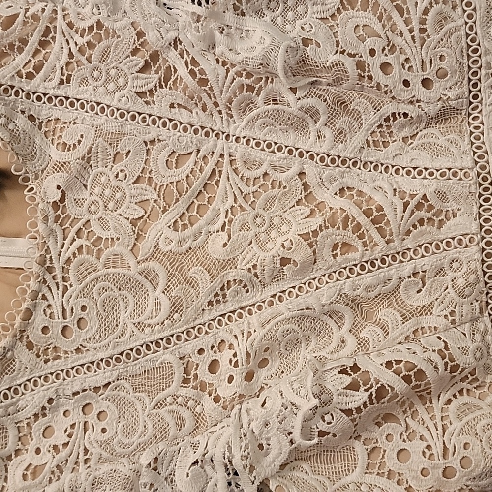 Express Dress - Picture 3 of 5